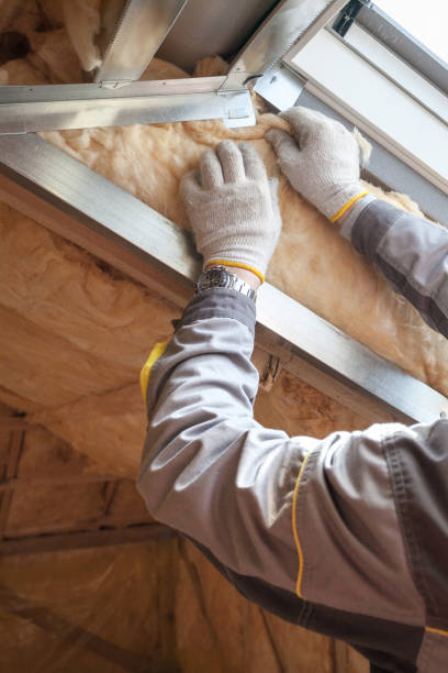 Best Insulation Maintenance and Repair in Franklin Park, NJ